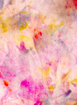 Abstracts